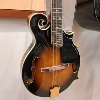 Denver F style mandolin 2